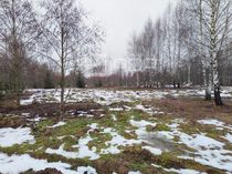  Участок 6 соток, р-н Дмитровский, д Удино